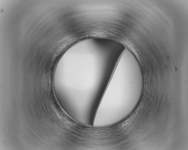 X0000088450349200705220916