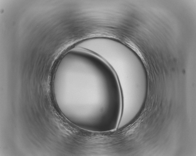 X0000088450387200705220916