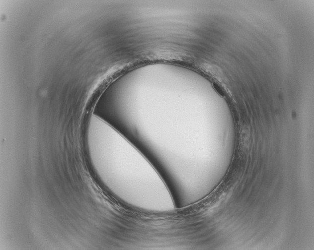 X0000088450395200705220916