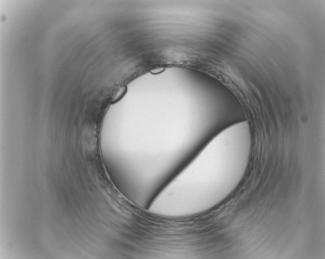 X0000088450413200705220915