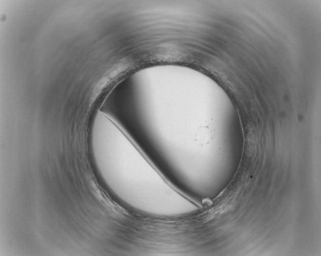 X0000088450446200705220914
