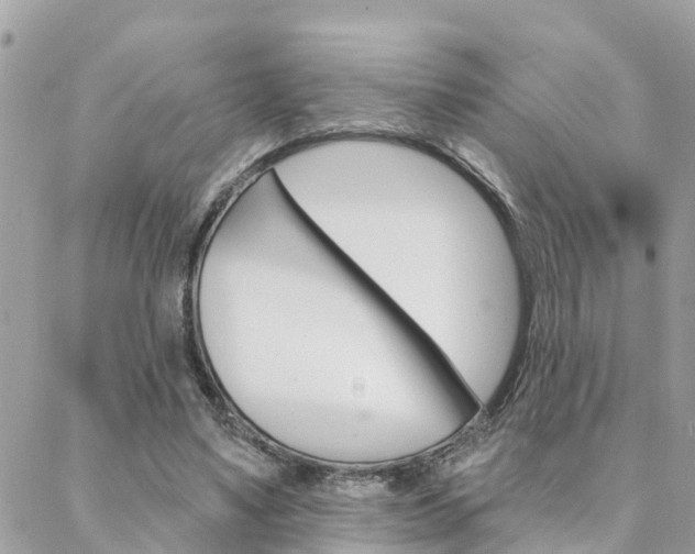 X0000088450491200705220914