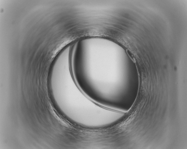 X0000088450530200705220913