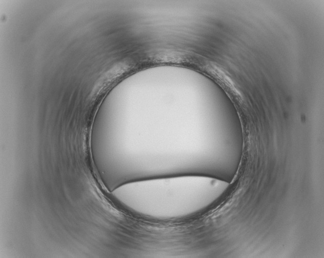 X0000088450537200705220913