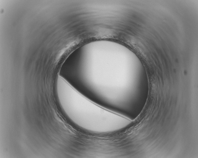 X0000088450539200705220913