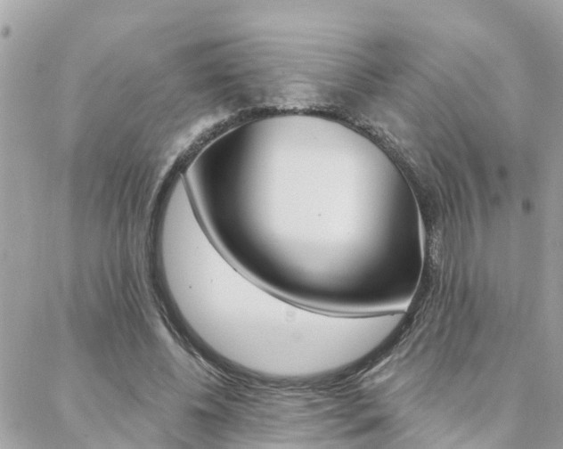 X0000088450540200705220913