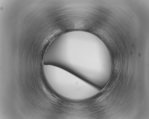 X0000088450542200705220913