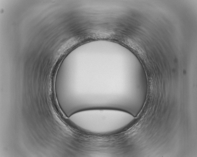 X0000088450582200705220913