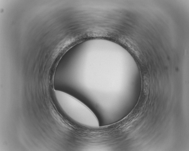 X0000088450631200705220911