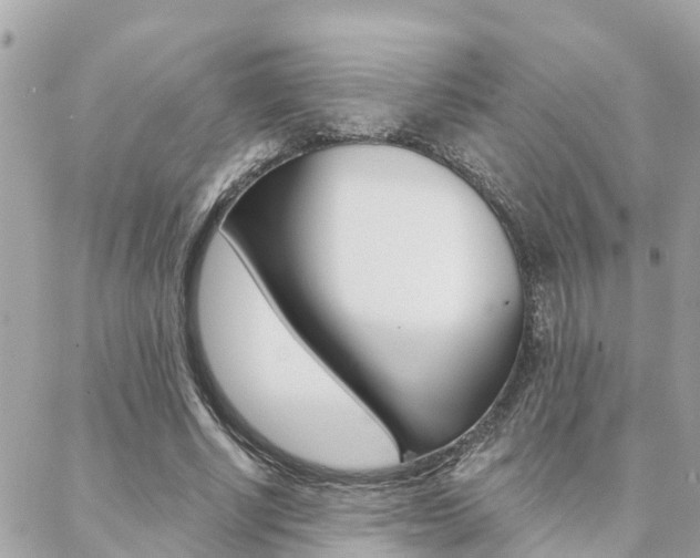 X0000088450634200705220911