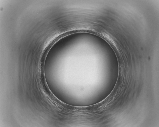 X0000088450676200705220911