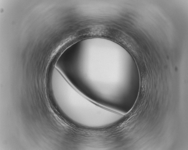 X0000088450722200705220910