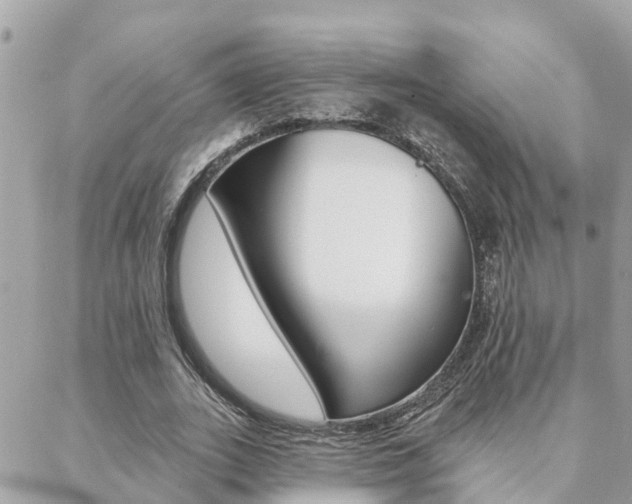 X0000088450727200705220910