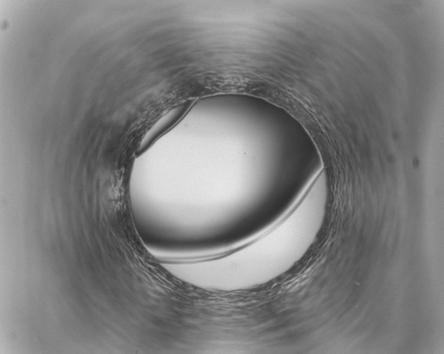 X0000088450818200705220908