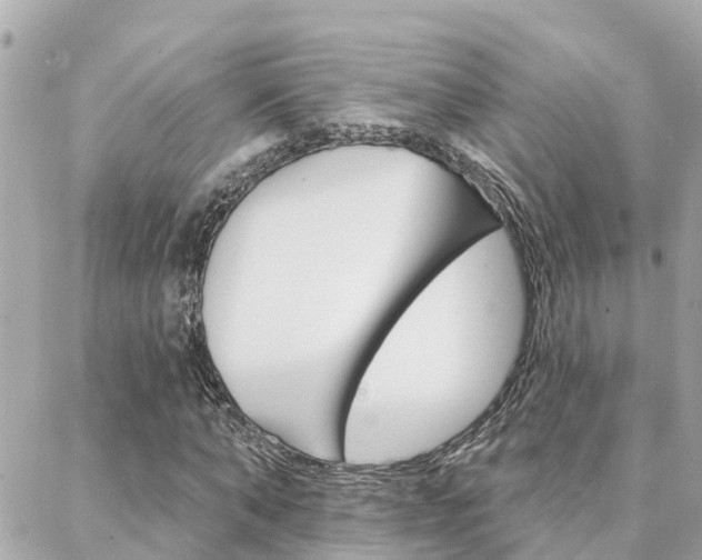 X0000088450870200705220908