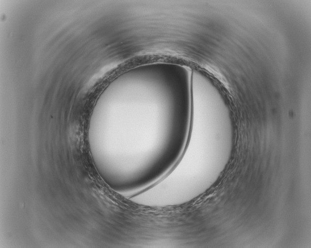 X0000088450872200705220908