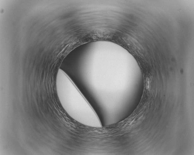X0000088450915200705220906