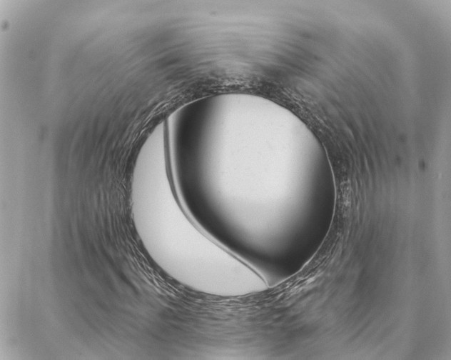 X0000088450916200705220906
