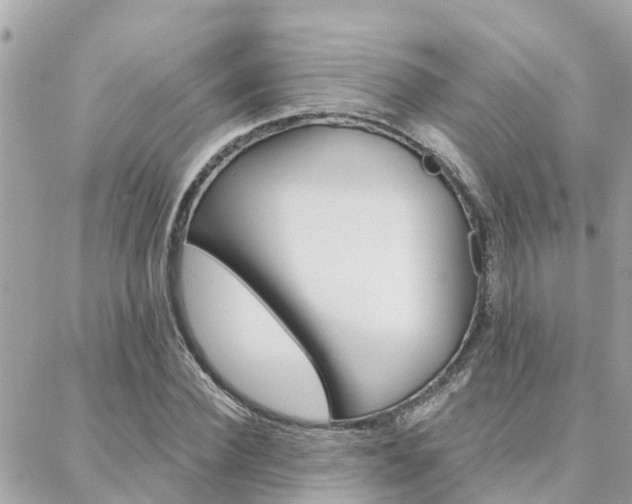 X0000088450924200705220907