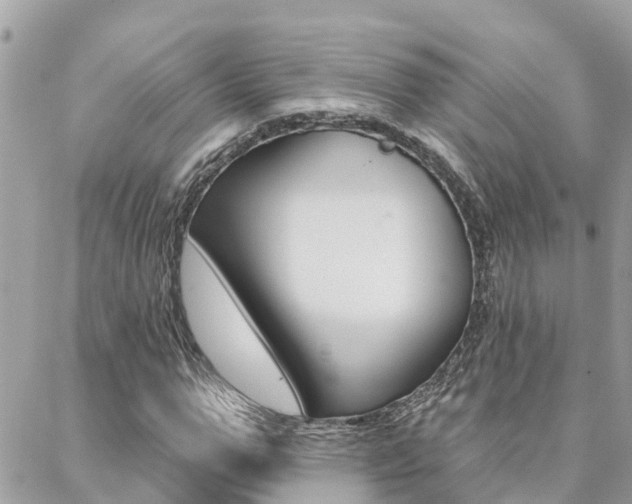 X0000088450967200705220906