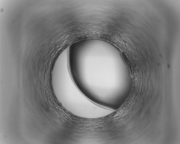 X0000088451057200705220905