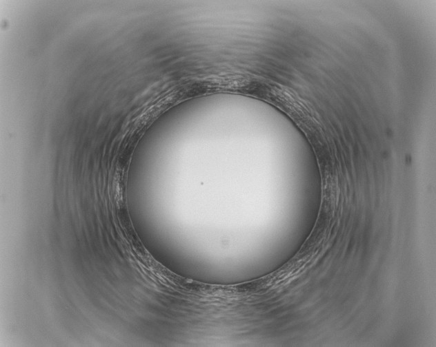 X0000088451058200705220905