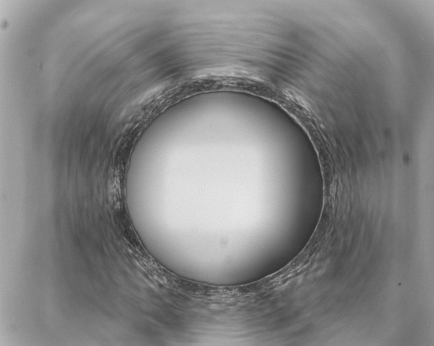X0000088451062200705220905