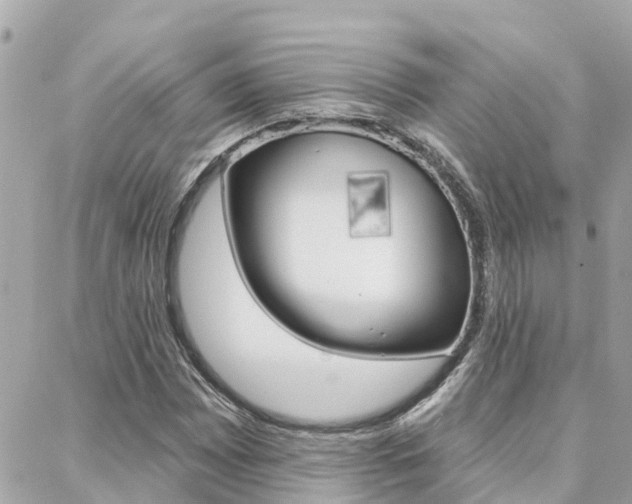 X0000088451065200705220905