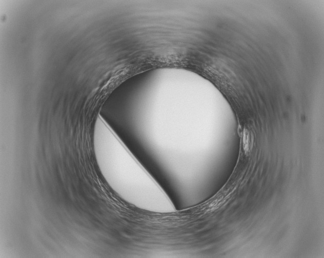 X0000088451107200705220903