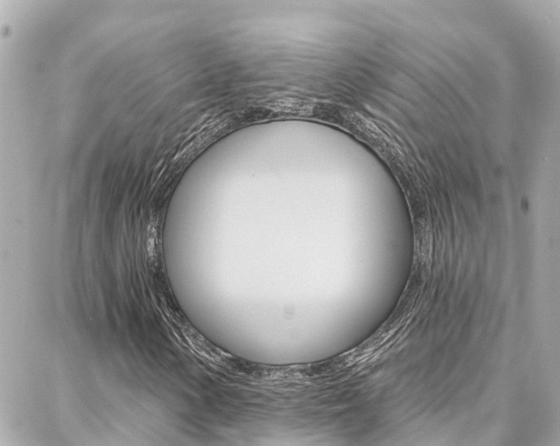 X0000088451154200705220903