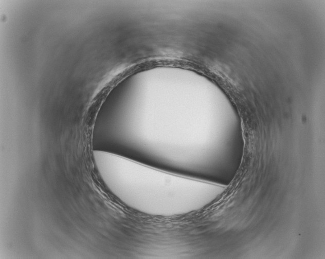 X0000088451208200705220902