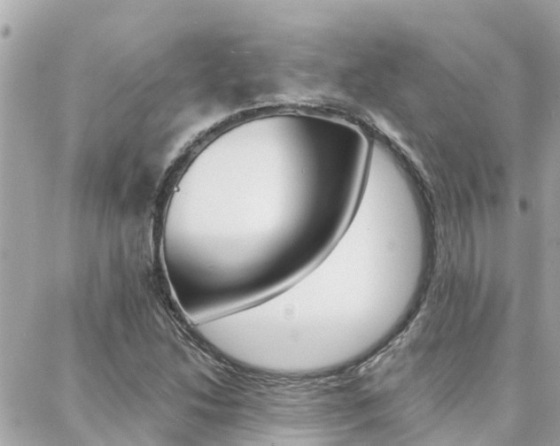X0000088451214200705220902