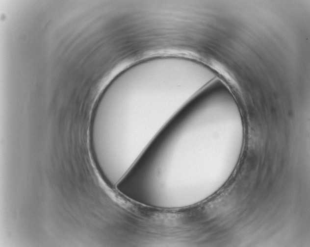 X0000088451237200705220902