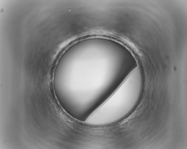 X0000088451264200705220901
