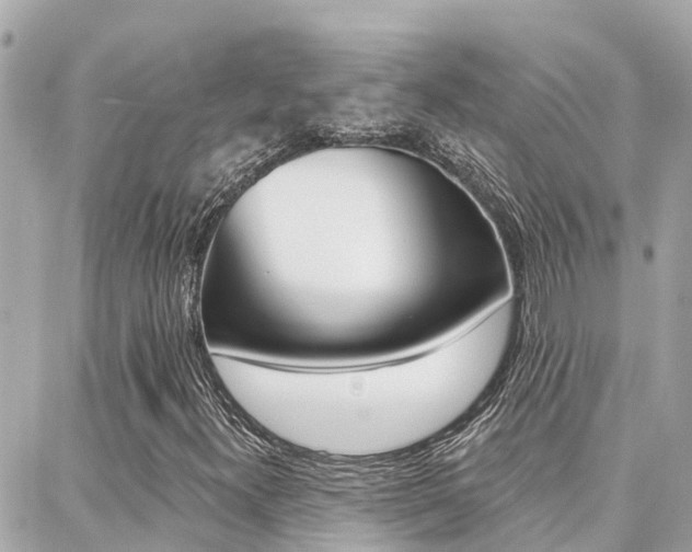 X0000088451300200705220900