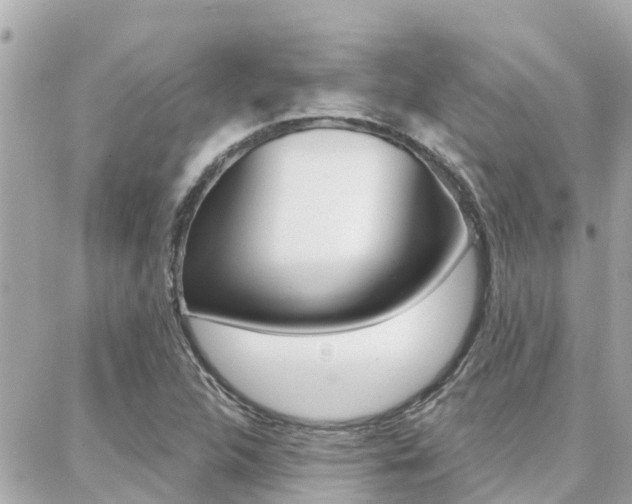 X0000088451312200705220900