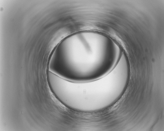 X0000088451330200705220901