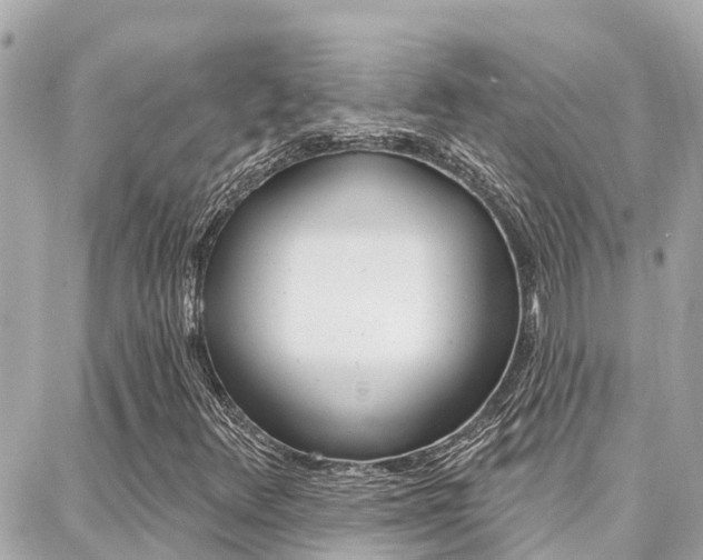 X0000088451348200705220900