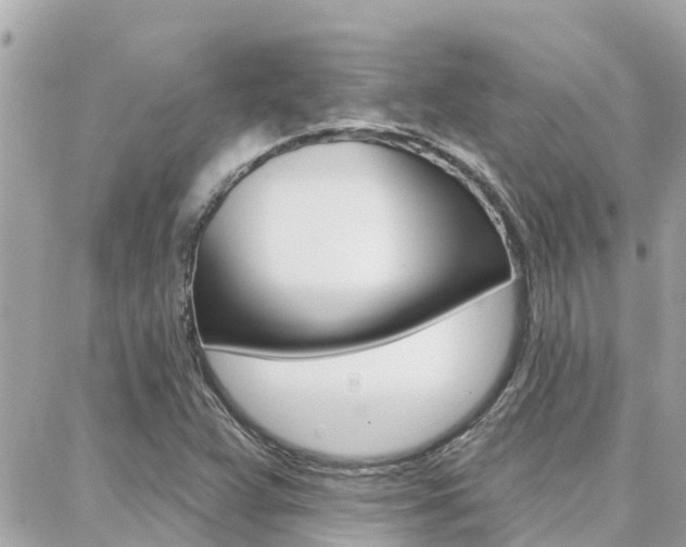 X0000088451359200705220900