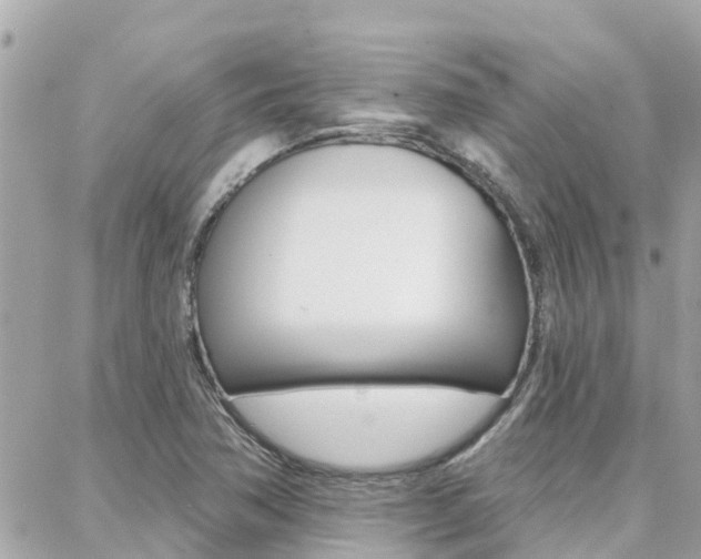 X0000088451362200705220900