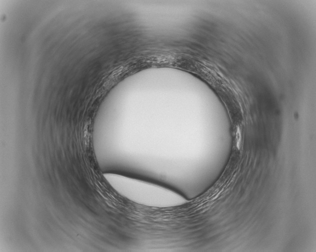 X0000088451395200705220859