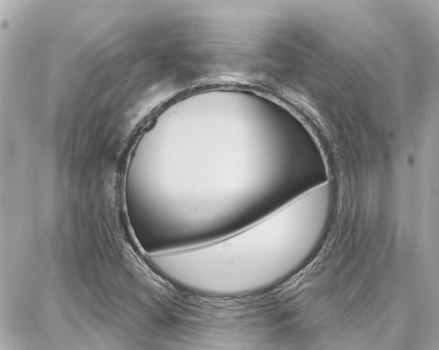 X0000088451404200705220859