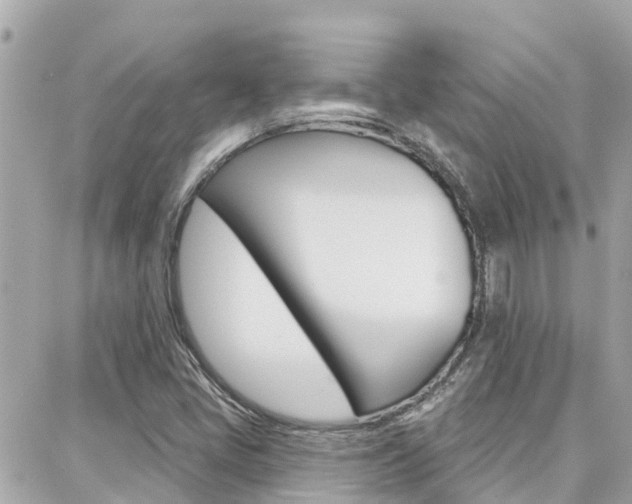 X0000088451405200705220859