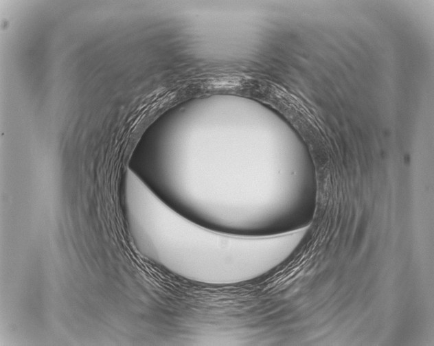 X0000088451441200705220858