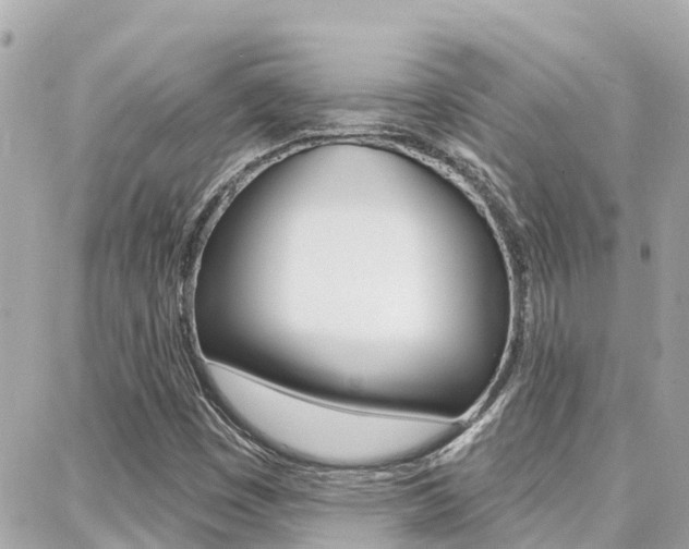 X0000088451449200705220858