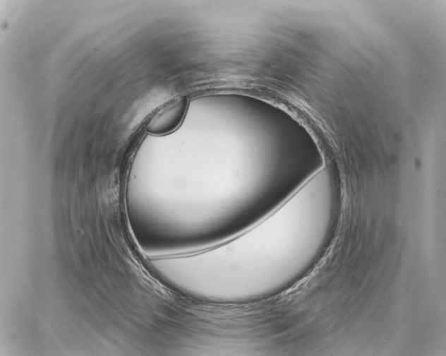 X0000088451450200705220858