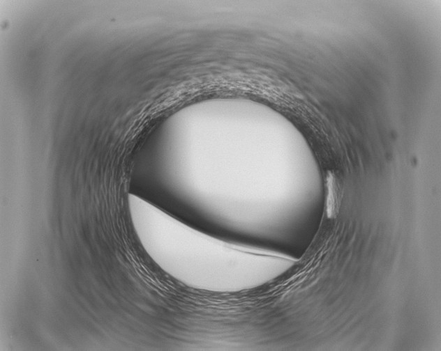 X0000088451491200705220857