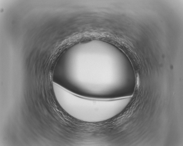 X0000088451492200705220857