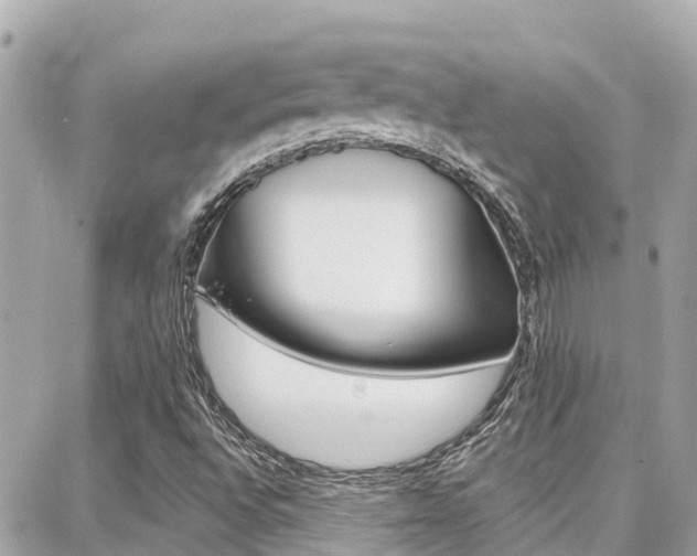 X0000088451496200705220857