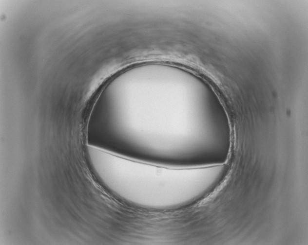 X0000088451501200705220857